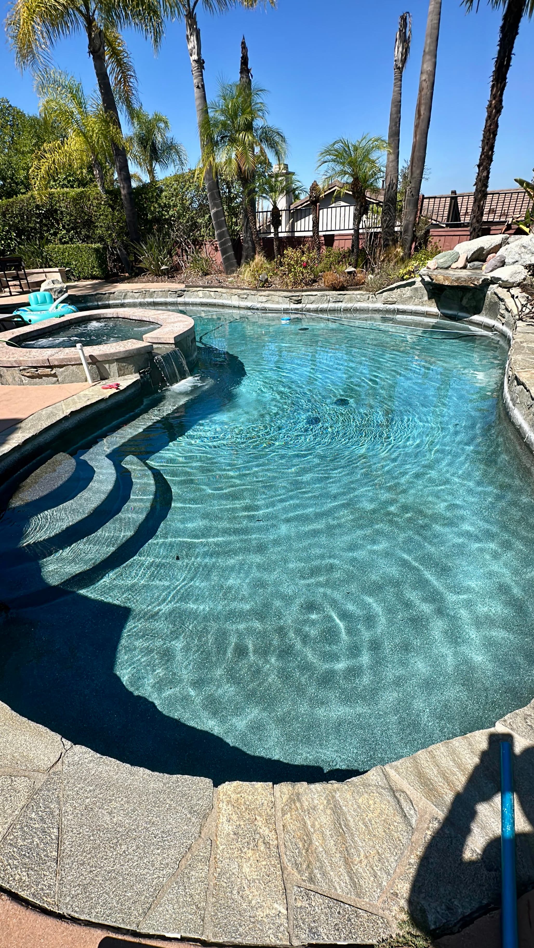Curved pool surrounded by palm trees